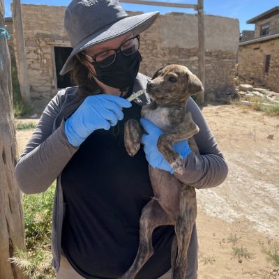 “Deworming a puppy after giving a rabies vaccine and completing a tick check in Arizona” Gavi Hecht - CSTE AEF Class 18 Fellow